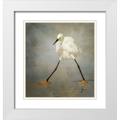 The Rock Star White Modern Wood Framed Art Print with Double Matting by Forns, Alfred