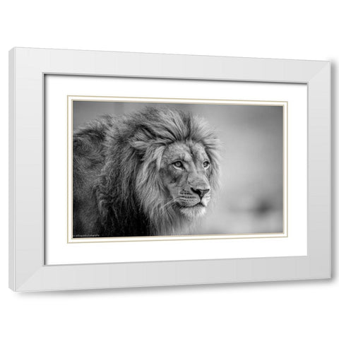 His Majesty.... White Modern Wood Framed Art Print with Double Matting by C. Sink, Jeffrey