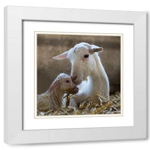 Hi Mummy White Modern Wood Framed Art Print with Double Matting by van den, Gert