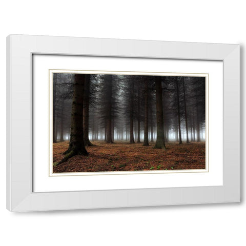 Place Of Silence White Modern Wood Framed Art Print with Double Matting by Petrovic, Dragisa