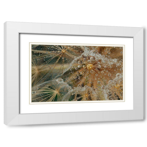 Starless White Modern Wood Framed Art Print with Double Matting by Filosofo, El