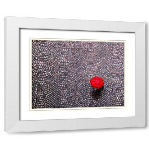Urban Ladybug White Modern Wood Framed Art Print with Double Matting by Maffei, Franco