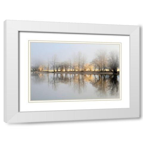 January Morning White Modern Wood Framed Art Print with Double Matting by Bor