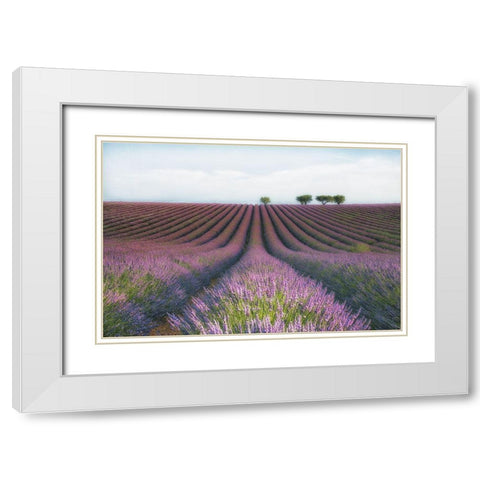 Velours De Lavender White Modern Wood Framed Art Print with Double Matting by Chernilova, Margarita