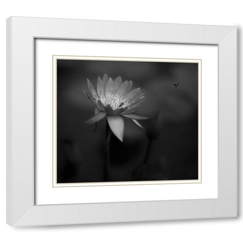 Lotus White Modern Wood Framed Art Print with Double Matting by Tjandra, C.S.