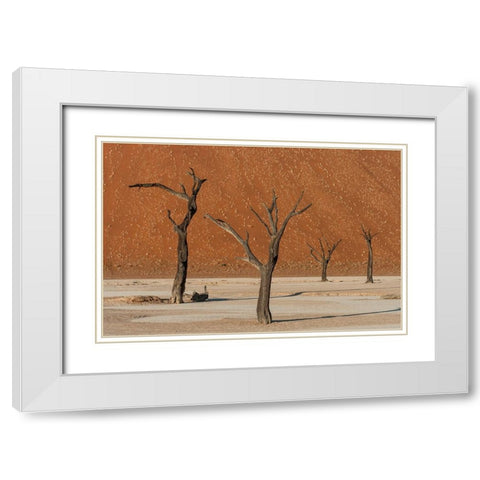 Dead Dancers White Modern Wood Framed Art Print with Double Matting by Stranak, Pavol