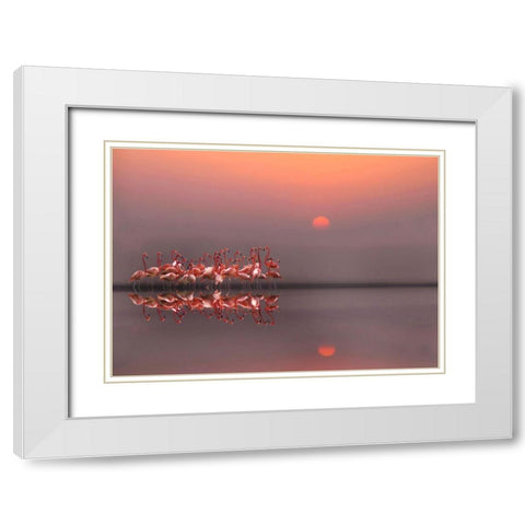 Purple Sunset White Modern Wood Framed Art Print with Double Matting by Cseresnjes, Anna