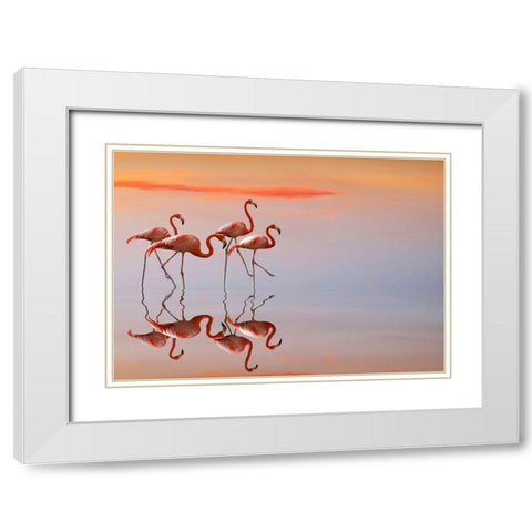 Flamingos Family White Modern Wood Framed Art Print with Double Matting by Cseresnjes, Anna