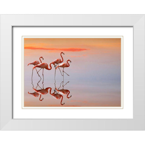 Flamingos Family White Modern Wood Framed Art Print with Double Matting by Cseresnjes, Anna