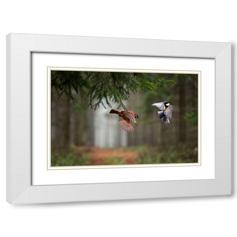Two White Modern Wood Framed Art Print with Double Matting by Bognar, Peter