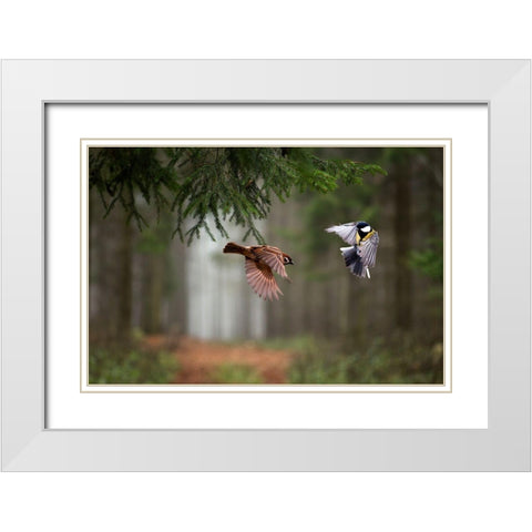 Two White Modern Wood Framed Art Print with Double Matting by Bognar, Peter