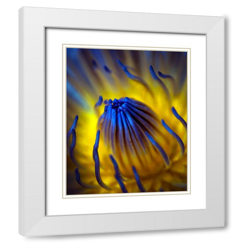 Blow Up White Modern Wood Framed Art Print with Double Matting by Bunjamin, Antonyus