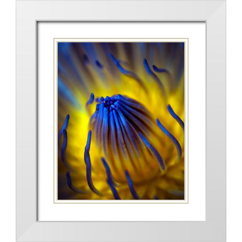 Blow Up White Modern Wood Framed Art Print with Double Matting by Bunjamin, Antonyus