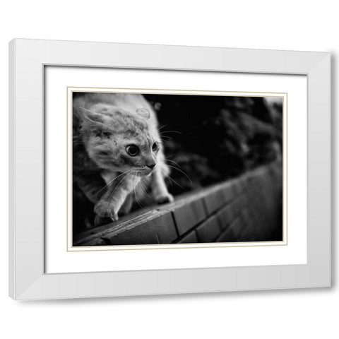 Ready To Fight White Modern Wood Framed Art Print with Double Matting by Suzuki, Tatsuo