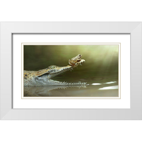 I Will Survive White Modern Wood Framed Art Print with Double Matting by Bhs, Fahmi