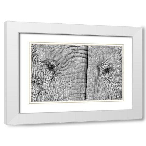 Two Elephants White Modern Wood Framed Art Print with Double Matting by Luis Duran, Juan