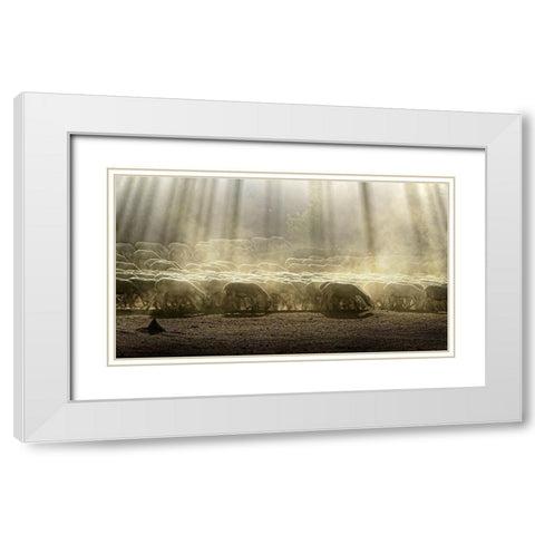 Herd Sheep In The Forest White Modern Wood Framed Art Print with Double Matting by Georgiev, Deyan