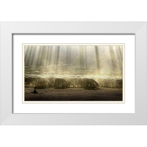 Herd Sheep In The Forest White Modern Wood Framed Art Print with Double Matting by Georgiev, Deyan