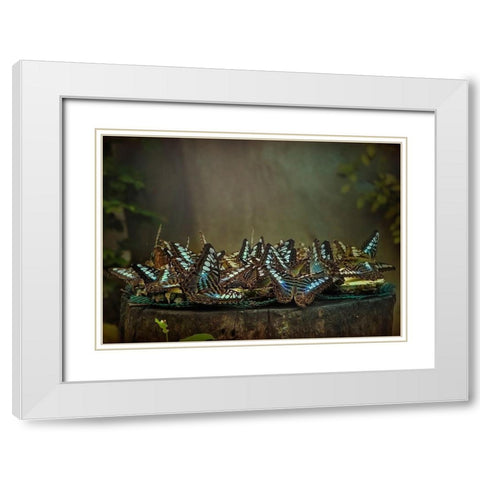 Rendezvous White Modern Wood Framed Art Print with Double Matting by Dagobert, Antoine