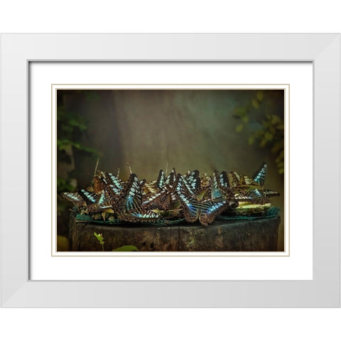 Rendezvous White Modern Wood Framed Art Print with Double Matting by Dagobert, Antoine