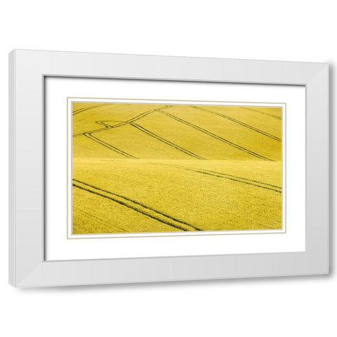 Field #2 White Modern Wood Framed Art Print with Double Matting by Collie, Clive