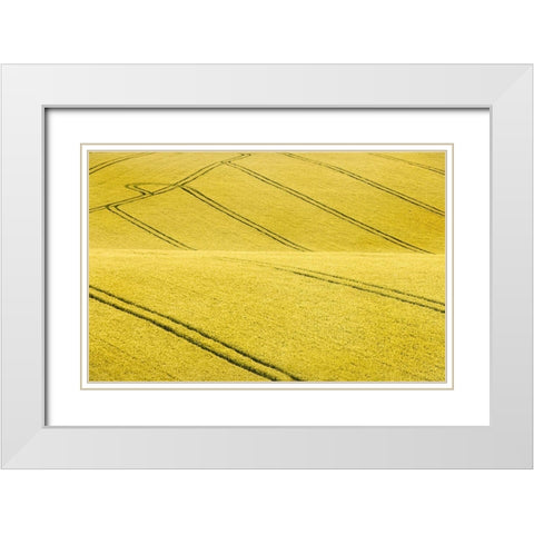 Field #2 White Modern Wood Framed Art Print with Double Matting by Collie, Clive
