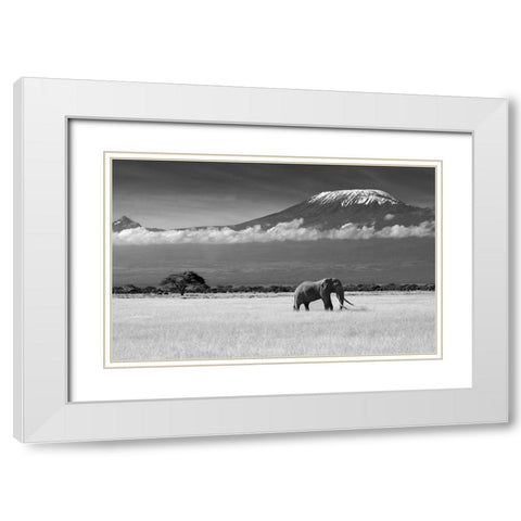 Lost Colors Ii White Modern Wood Framed Art Print with Double Matting by Canakci, Ibrahim