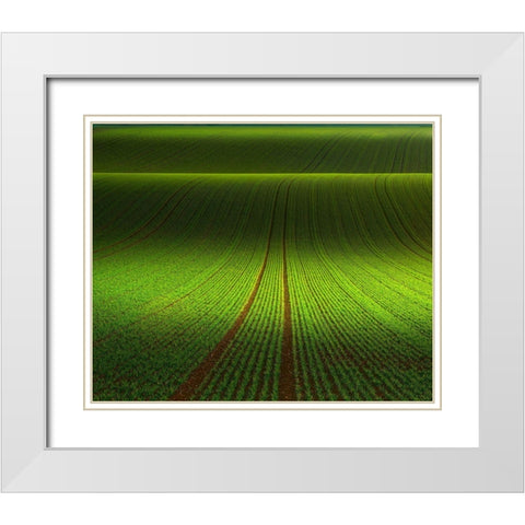 November Green White Modern Wood Framed Art Print with Double Matting by Schumacher, Nicolas