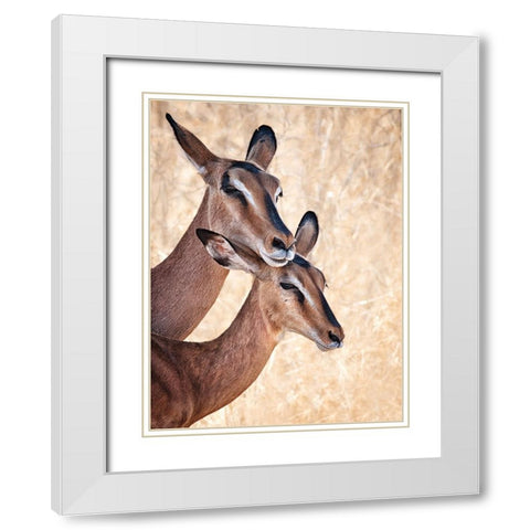 Do Not Worry, IM Here White Modern Wood Framed Art Print with Double Matting by Guillemot, Mathilde