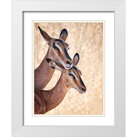 Do Not Worry, IM Here White Modern Wood Framed Art Print with Double Matting by Guillemot, Mathilde