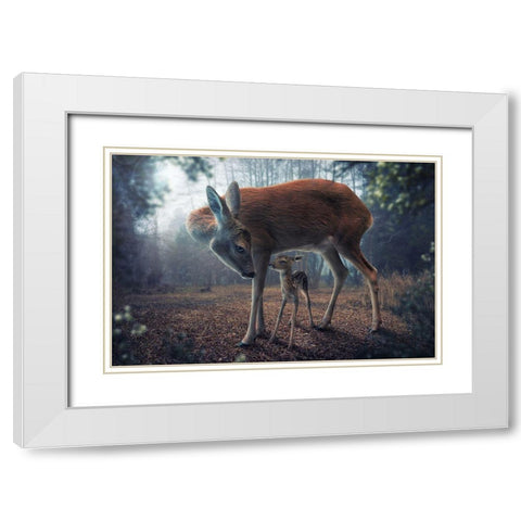 Mother And Fawn White Modern Wood Framed Art Print with Double Matting by Wilhelm, John