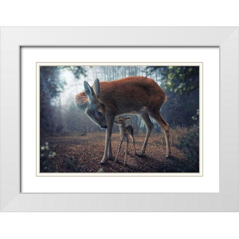 Mother And Fawn White Modern Wood Framed Art Print with Double Matting by Wilhelm, John