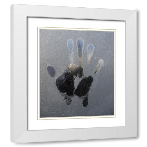 Cold Glass White Modern Wood Framed Art Print with Double Matting by Westling, Leif