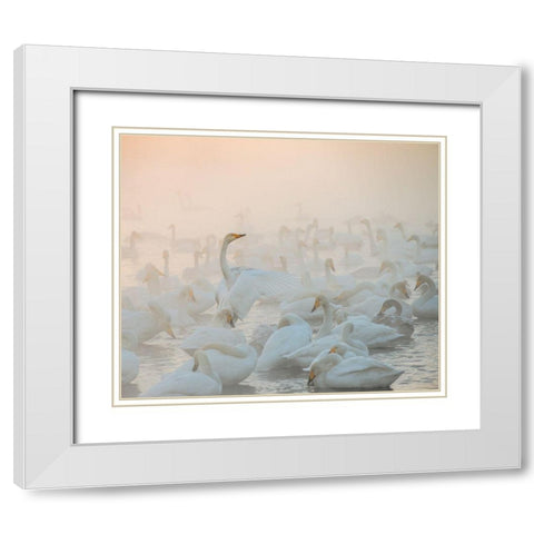 Song Of The Morning Light White Modern Wood Framed Art Print with Double Matting by Dubikovskiy, Dmitry