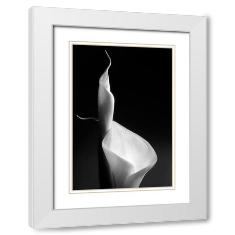 Female Curves White Modern Wood Framed Art Print with Double Matting by Pascual Buye, Santiago