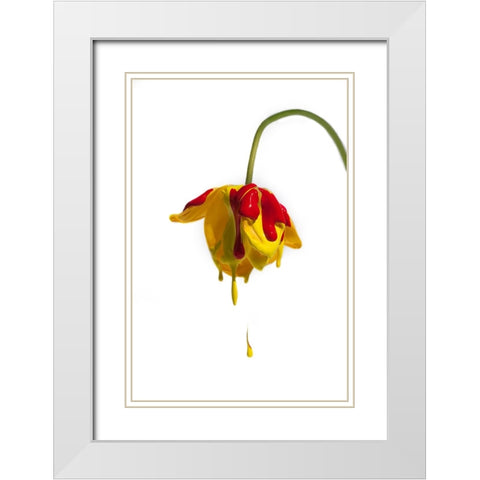 Crying Flower White Modern Wood Framed Art Print with Double Matting by Mathiesen, Kent