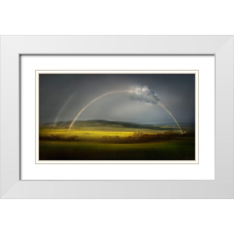 The Spring Bliss White Modern Wood Framed Art Print with Double Matting by Dou, Shenshen