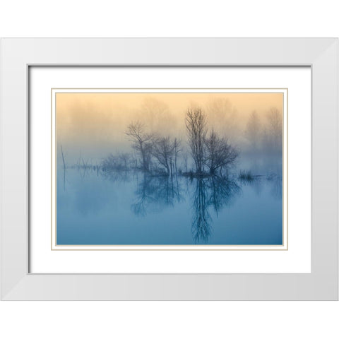 Morning Reflection White Modern Wood Framed Art Print with Double Matting by Butali, David