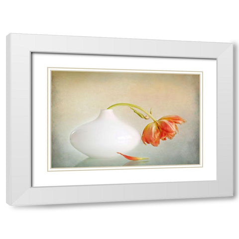 2Lip White Modern Wood Framed Art Print with Double Matting by Van Zaane, Alida