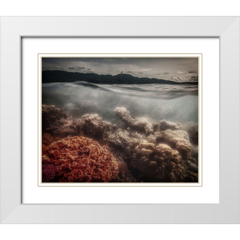 Underwater Evening White Modern Wood Framed Art Print with Double Matting by Stranak, Pavol