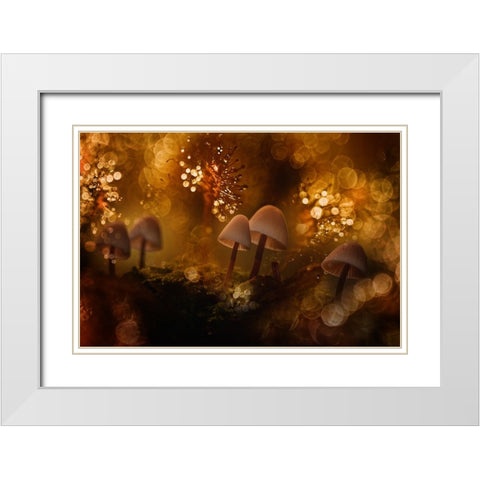 Untitled White Modern Wood Framed Art Print with Double Matting by Mijer, Wil