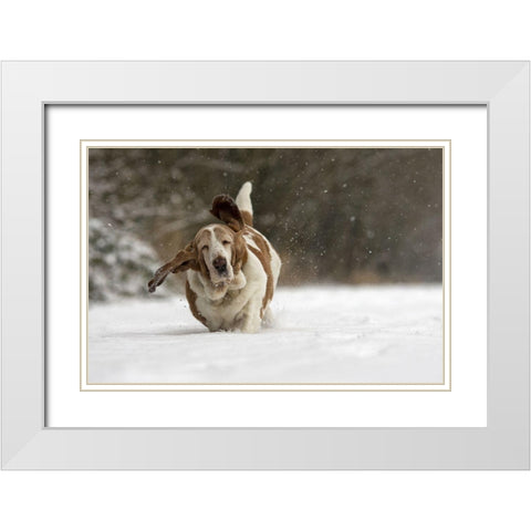 Almost Airborne White Modern Wood Framed Art Print with Double Matting by Van Den, Gert