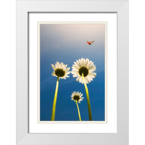 Ladybug White Modern Wood Framed Art Print with Double Matting by C. Lobato, Jose