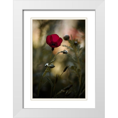 La Bailarina De Flamenco White Modern Wood Framed Art Print with Double Matting by BRAVIN, Fabien