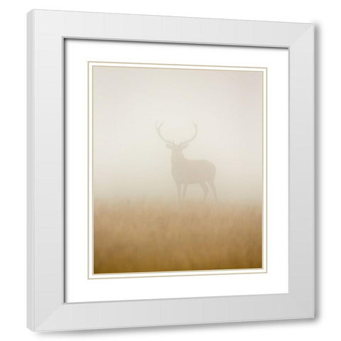 Ghost Stag White Modern Wood Framed Art Print with Double Matting by Harling, Stuart
