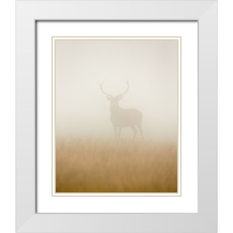 Ghost Stag White Modern Wood Framed Art Print with Double Matting by Harling, Stuart
