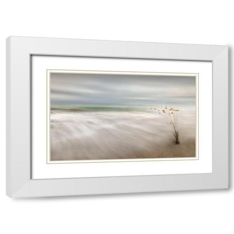 Ears In The Sea White Modern Wood Framed Art Print with Double Matting by Osuna, Fran
