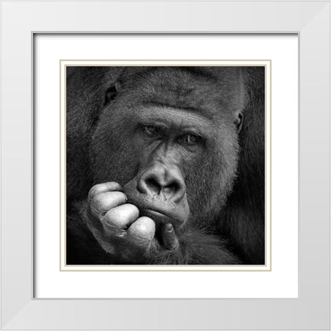 I Had A Dream White Modern Wood Framed Art Print with Double Matting by Wenner-Braun, Antje