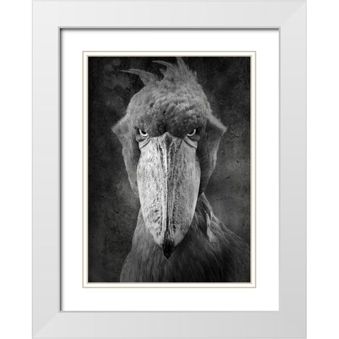 Angry Bird White Modern Wood Framed Art Print with Double Matting by Lehto, Timo