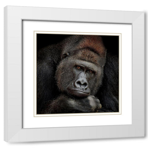 One Moment In Contact White Modern Wood Framed Art Print with Double Matting by Wenner-Braun, Antje